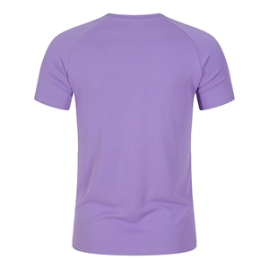 T-shirt à coupe sèche personnalisé 100% polyester respirant Gym impression Logo T-shirt de sport hommes T-shirt uni pour hommes livraison DDP - Product Image 3
