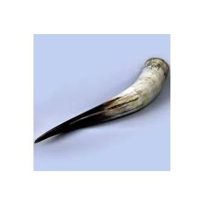 Corne à boire en forme de buffle pour cuisine et table, taille personnalisée, couleur naturelle, blanc, noir, corne à boire viking - Product Image 3