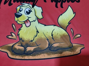 Camisetas de Running de Secado Rápido con Diseño Personalizado, Logotipo, 100% Poliéster, Estilo Casual, Estampado, Método de Sublimación, para Softbol - Product Image 3