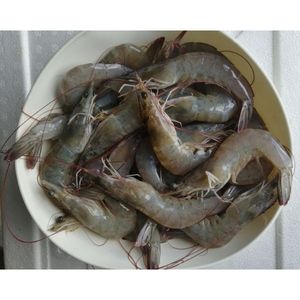 Vente en gros de crevettes et fruits de mer sans tête congelés IQF prêts pour l'exportation dans un emballage en sac - Product Image 4