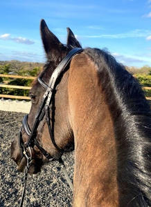 Caballo Snaffle Cuero Brida Fabricante Anatomic Dressage Snaffle Indian Leather - Product Image 2