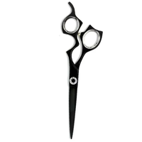 Ensemble de ciseaux professionnels pour cheveux en acier inoxydable 6CR13 de 6,5 pouces, ciseaux de coiffure, ciseaux de coupe, ciseaux de salon de beauté
