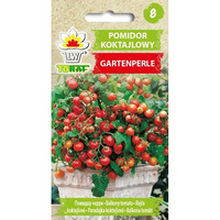 GARTENPERLE 0.3G Graines de tomates cerises biodégradables en fibres végétales pour potager