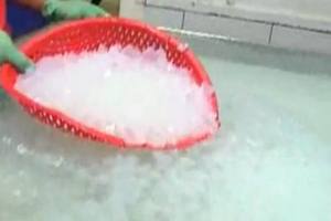 Gelée de noix de coco fraîche super délicieuse-Gelée de noix de coco-Meilleure vente fabriquée au Vietnam // Mme Beatrix - Product Image 6