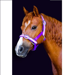 Lightweight HALTER-PR& & LIlightweight Lightweight ligero - Product Image 1