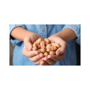 Mejor Precio en Cacahuetes Rojos Secos Crudos de Canadá, Disponibles en Grandes Cantidades con Empaque Personalizado - Product Image 3