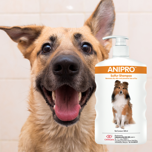 Trusted Brand Wholesale Price Fur & <b>Skin</b> Treatment Anipro Sulphur <b>Shampoo</b> <b>for</b> <b>Dog</b> Treat <b>Itchy</b> Flaky Fungal <b>Skin</b> <b>for</b> <b>Dogs</b> & Cats - Product Image 1
