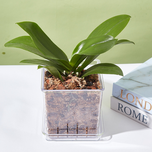 <span class=keywords><strong>Pot</strong></span> <span class=keywords><strong>de</strong></span> pépinière transparent Pots en plastique avec plateau et drainage pour rempoter le <span class=keywords><strong>pot</strong></span> <span class=keywords><strong>de</strong></span> jardinière d'orchidées pour une utilisation à vie - Product Image 3