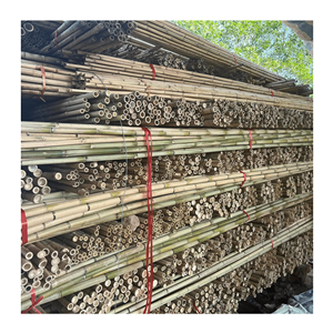 Tubes de bambou Moso du Vietnam de haute qualité, écologiques, en gros pour 2025 - Product Image 3