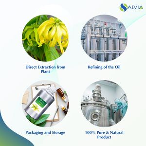 Huile essentielle d'Ylang Ylang avec les meilleures utilisations du monde et les avantages pour l'achat en gros à la vente - Product Image 5