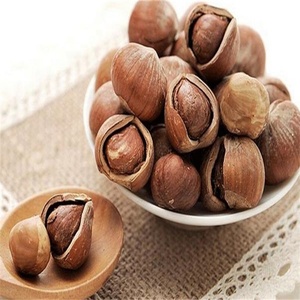 Núcleos de Avellanas Crudas Naturales Sin Cáscara, Calidad Premium para Repostería y Panadería, Suministro al por Mayor - Product Image 5
