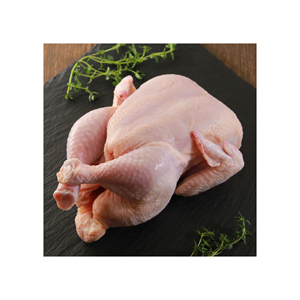 ชิ้นส่วนไก่แช่แข็งทั้งตัวไก่แช่แข็งฮาลาล - Product Image 5