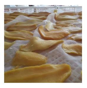 Mango 100% Natural de fruta seca de alta calidad, Mango suave seco de VietNam listo para enviar - Product Image 2