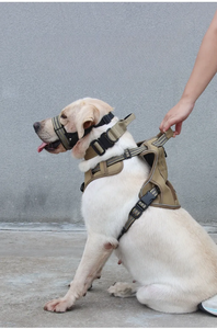 Harnais de sport réglable en nylon pour chien, motif écossais, avec clochette et boucle rose, pour chiens de taille moyenne, lavable en machine - Product Image 5