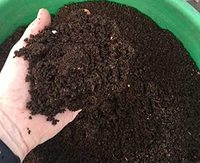 Fertilizante de Compost de Lombriz WORM WONDER: Potenciador de Crecimiento Orgánico con Gran Cantidad de Vietnam
