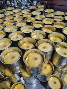 Rodajas de piña de grado de Exportación/hechas en Vietnam con precio muy barato - Product Image 2