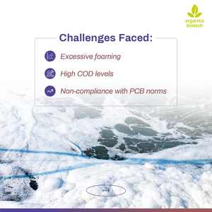 Traitement des effluents dans le projet de raffinerie de pétrole - Product Image 3