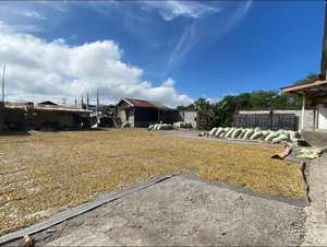 Oferta de Marca Privada: Granos de Café Arábica Tostados, Mezcla Personalizada en Venta - Product Image 6