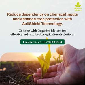 การรักษาจุดใบ helminthosporium - Product Image 6