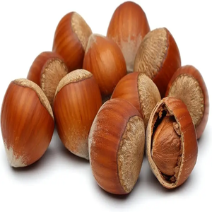 Noisette blanchie de qualité au goût naturel/Noisette à bas prix - Product Image 3