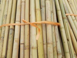 Wholesale Customized Size <b>Bamboo</b> Poles Hot Natural Materials <b>Bamboo</b> Poles for Making <b>Fence</b>/ Decoration Product From Vietnam - Product Image 6