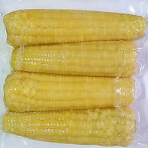 WHOLESALE FROZEN WHOLE BOILED CORN <b>READY</b> <b>TO</b> <b>EAT</b> WITH CLEAN LABEL QUALITY - Product Image 5