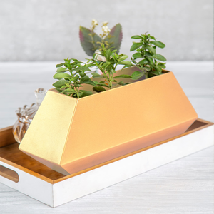 Jardinière en métal galvanisé écologique avec poignées pour un jardinage domestique durable, idéal pour les chambres et les salons - Product Image 6