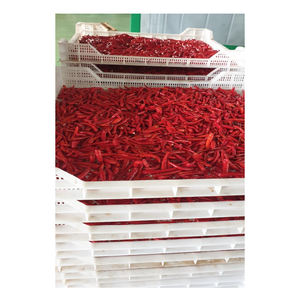 Piment rouge épicé entier biologique séché à long motif en vrac et emballé sous vide pour le marché chinois à bas prix - Product Image 3