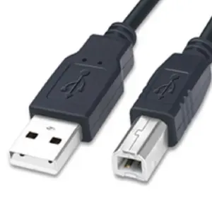 Factory wholesale USB printer cable usb 2.0 A male to B male length options for Printer