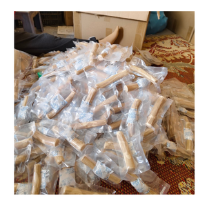 Bâton de jouet à mâcher en bois de café de haute qualité du Vietnam pour chiens - Product Image 4