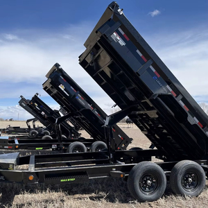 Remolque de Carga DT14 de 14 Pies con Eje Tándem y Sistema Hidráulico |   Transporte de Materiales y Construcción de Alta Resistencia - Product Image 5