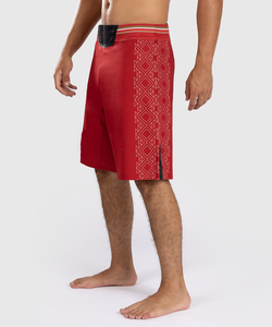 Short MMA à sublimation/équipement de combat MMA/short MMA personnalisé short de combat Bjj Mma pour homme à sublimation personnalisée - Product Image 2