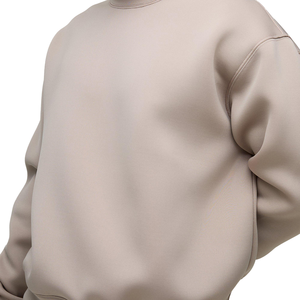 Poids lourd 450GSM polaire sweat hommes en plein air Streetwear surdimensionné sweat-shirts haute qualité col rond à manches longues sweats - Product Image 6