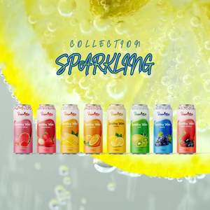 500ml Interfresh Sparkling Kiwi Saveur Concentré Meilleur Prix Mangue Orange Pastèque OEM ODM Options Disponibles Vietnam - Product Image 5