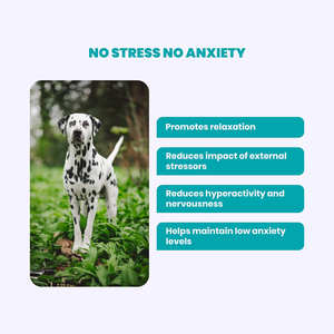 Gubeyka Hemp Calming Max-Strength Duck Flavored Melatonin, Ashwaganda & L-Theanine Chews Calmante y suplemento de ansiedad para perros - Product Image 4