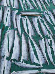 ผิวปลาบาซาแห้งจากเวียดนาม - Product Image 2