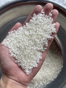 Riz à grains moyens Calrose de Vietnam Sunrise : Avec ou sans huile – Qualité export Belle - Product Image 4