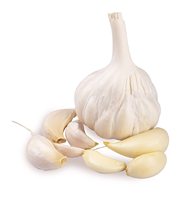 Ail blanc frais à bas prix, qualité export, pureté 99%+, certifié FSSAI ISO/HACCP, qualité alimentaire, Sunari Enterprises, 1 an