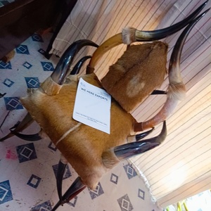 Silla de cuerno de búfalo hecha a mano con tapicería de piel natural, muebles de acento rústico único para el hogar, oficina, salón, decoración de lujo - Product Image 1