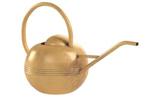 Arrosoir de jardin design rétro en acier inoxydable bec verseur facile pour arrosoir vintage pour plantes d'intérieur - Product Image 2