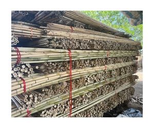 Poteau de canne en bambou écologique en gros matériau naturel de haute qualité Vietnam usine fournisseur direct prêt pour l'exportation - Product Image 6