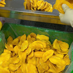 ผู้จำหน่ายมะม่วงอบแห้งเนื้อนิ่มจากเวียดนามนำเสนอผลิตภัณฑ์ขนมขบเคี้ยวจากธรรมชาติคุณภาพสม่ำเสมอสำหรับผู้ซื้อในตลาดส่งออกและขายปลีก - Product Image 1