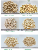 Groothandel Biologische Grade 1 Rauwe Zoute Gevorkte Gedroogde Cashewnoten BRC Gecertificeerd Heerlijke Snack Gemaakt in Vietnam 100% Natuurlijk Vacuümverpakt