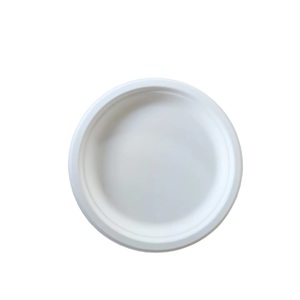 Vajilla compostable de bagazo de pulpa de caña de azúcar desechable ecológica de 10 pulgadas, vajilla alternativa sostenible para acampar - Product Image 1