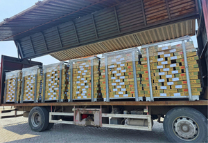 Proveedor y exportador de pescado de caballa congelado de Brasil Embalaje y carga personalizados con su marca - Product Image 3