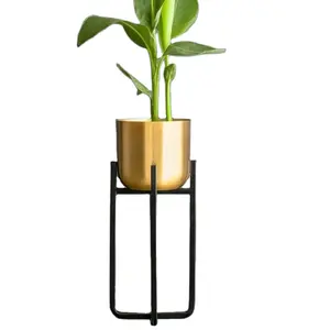 Premium Quality Indian Design Metal Brass Planter With Square Pipe Cross Stand Black & Golden Pot For Home And Office Decoration