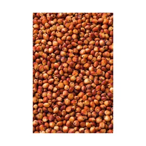 Emballage de grains blancs en sacs à vendre graines de sorgho farine de sorgho