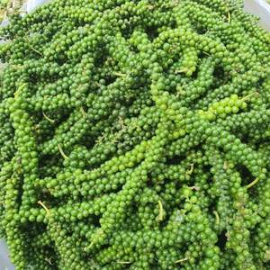 พริกไทยเขียวแช่แข็งแบบ IQF |   สะอาด สดใหม่ และพร้อมสำหรับการแปรรูป - Product Image 3