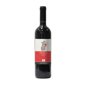 Vin rouge italien Aglianico Brizio forme Campanie Bénévent fabriqué en Italie vins de haute qualité dans des bouteilles en verre