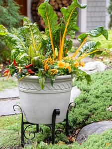 Meilleure vente de support de jardinière noir en métal pour jardin, maison, restaurant, hôtel à bas prix - Product Image 3